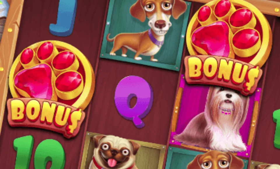 The Dog House bonus